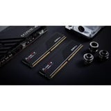 G.Skill 64 Go DDR5-5600 (2x 32 Go) mémoire vive Noir, F5-5600J3636D32GX2-FX5, EXPO