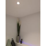 Shelly LightSolutions Hilux DS8 Spot encastrable, Lumière LED Blanc