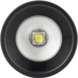 Ansmann M250F Noir Lampe torche, Lampe de poche Noir, Lampe torche, Noir, Boutons, Rotatif, 1 m, IP54, 1 lampe(s)