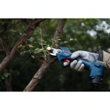 Bosch GGP 12V-25, 06008D8101, Sécateur Bleu/Noir