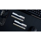 G.Skill 64 Go DDR5-6000 Kit, Mémoire vive Argent, F5-6000J3040G32GX2-TZ5RS, Trident Z5 RGB, XMP