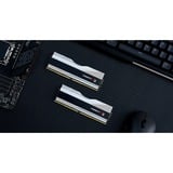G.Skill Trident Z5 RGB 64 Go DDR5-6000 (2x 32 Go) mémoire vive Argent, F5-6000J3040G32GX2-TZ5RS, XMP 3.0