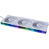 Lian Li UNI FAN TL120 ventilateur de boîtier RGB  Blanc, 124 x 120 x 28 mm