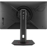 ASUS ROG Strix XG259QNS écran plat de PC 62,2 cm (24.5") 1920 x 1080 pixels Full HD LCD Noir Moniteur gaming Noir, 1x DisplayPort, 2x HDMI, 1x USB-A, 380 Hz, 62,2 cm (24.5"), 1920 x 1080 pixels, Full HD, LCD, 1 ms, Noir