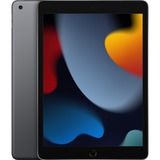 Apple iPad (9e génération), 10,2", Tablette Gris, 256 Go, Wifi, iPadOS