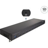 DeLOCK Hub industriel 19" 10 x USB 10 Gbps Type-A 