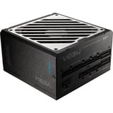 FSP FSP MEGA GM alimentation modulaire 1000 watt Noir, 2x 12V-2x6, 3x PCIe