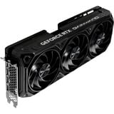 Gainward GeForce RTX 4070 Ti Panther Reconditionné, Carte graphique 