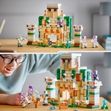 LEGO 21250, Jouets de construction 