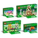 LEGO 21250, Jouets de construction 