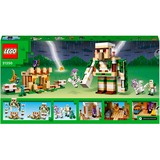 LEGO 21250, Jouets de construction 