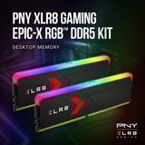 PNY MD32GK2D5640036XRGB, Mémoire vive Noir
