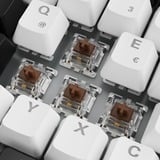 Sharkoon SKILLER SGK50 S3 RGB clavier gaming mécanique Blanc, Layout DE (QWERTZ), Gateron Brown, 75%