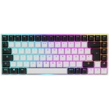 Sharkoon clavier gaming Blanc, Layout DE, Gateron Brown