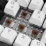 Sharkoon clavier gaming Blanc, Layout DE, Gateron Brown