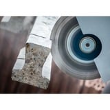 Bosch 2608900663 lame de scie circulaire 23 cm 1 pièce(s), Disque de coupe Diamant polycristallin (PCD), Béton, pierre, 23 cm, 2,22 cm, 5500 tr/min, Bosch
