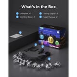 Govee Guirlandes lumineuses pour l'extérieur avec lampes transparentes, Guirlande lumineuse 