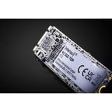 Intenso Top Performance, 1 To SSD 3832460, M.2 2280
