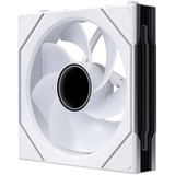 Lian Li Lian Li UNI FAN SL-INF FLEX 120 WL 3 R ventilateurs de boîtier RGB  Blanc, 3 pièces, 120 x 124 x 28 mm, PWM