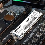 Patriot P310 M.2 480 Go PCI Express 3.0 NVMe SSD 480 Go, M.2, 1700 Mo/s