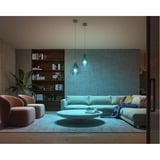 Philips Hue 929002468406, Lampe à LED 