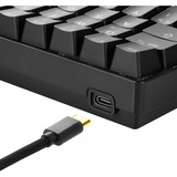 Sharkoon SGK50 S4 clavier USB QWERTZ Allemand Noir, clavier gaming Noir, Layout DE, Kailh Red, 60%, USB, QWERTZ, LED RGB, Noir