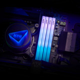 ADATA 16 Go DDR5-6000 (1x 16 Go) mémoire vive Noir, AX5U6000C3616G-SLABRBK, XMP 3.0, EXPO