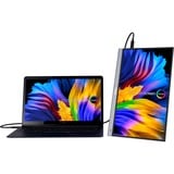 ASUS ZenScreen MQ16AHE écran plat de PC 39,6 cm (15.6") 1920 x 1080 pixels Full HD OLED Argent Moniteur  Argent, 39,6 cm (15.6"), 1920 x 1080 pixels, Full HD, OLED, 1 ms, Argent