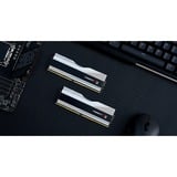 G.Skill 32 Go DDR5-5600 Kit, Mémoire vive Argent, F5-5600J3036D16GX2-TZ5RS, Trident Z5 RGB, XMP