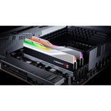 G.Skill 32 Go DDR5-5600 Kit, Mémoire vive Argent, F5-5600J3036D16GX2-TZ5RS, Trident Z5 RGB, XMP