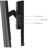 Lenovo ThinkVision P25i-30 Moniteur 24.5"  Noir, 62,2 cm (24.5"), 1920 x 1080 pixels, Full HD, LED, 6 ms, Noir