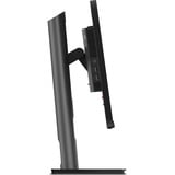 Lenovo ThinkVision P25i-30 écran plat de PC 62,2 cm (24.5") 1920 x 1080 pixels Full HD LED Noir Moniteur  Noir, 62,2 cm (24.5"), 1920 x 1080 pixels, Full HD, LED, 6 ms, Noir