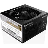 RAIJINTEK , 1200 Watt alimentation  Noir