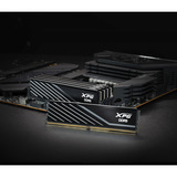 ADATA 16 Go DDR5-6000 (1x 16 Go) mémoire vive Noir, AX5U6000C3616G-SLABBK, XMP 3.0, EXPO