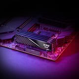 ADATA DIMM 16 GB DDR5-6000, Mémoire vive Noir