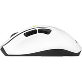 ASUS MD105, Souris Blanc/Vert