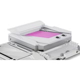 Alphacool Apex Monoblock X870 AORUS ELITE WIFI7 ICE, Dissipateur thermique Blanc