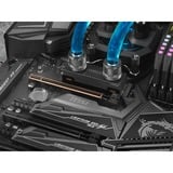 Corsair MP600 PRO XT Hydro X Edition, 4 To SSD Noir, CSSD-F4000GBMP600PHXT, M.2 2280, PCIe 4.0 x4