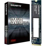 GIGABYTE  SSD 