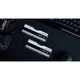 G.Skill 48 Go DDR5-8000 (2x 24 Go) mémoire vive Argent, F5-8000J4048F24GX2-T, XMP 3.0