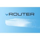 LANCOM vRouter 1000 3Y 3 année(s), Licence 3 année(s)