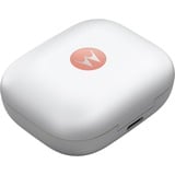Motorola Moto Buds Casques Sans fil Ecouteurs Appels/Musique/Sport/Au quotidien Bluetooth Corail écouteurs in-ear Corail, Sans fil, Appels/Musique/Sport/Au quotidien, Casques, Corail