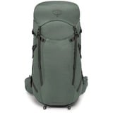 Osprey Sportlite 30, Sac à dos Vert olive, 30 litres, Taille M/L, Vert feuille de pin
