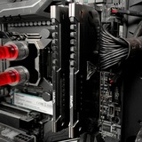 Patriot 16 Go DDR4-3600 (2x 8 Go) mémoire vive Gris, PVS416G360C8K, XMP 2.0