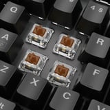 Sharkoon SKILLER SGK20 RGB clavier gaming mécanique Noir, Layout US (QWERTY), Huano Brown, 100%