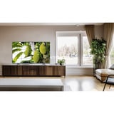 TCL 50MQLED75K Mini LED 50" 4K Ultra HD TV Noir