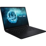 ASUS ProArt PX13 GoPro Edition (HN7306EAC-LX089X) 13" PC portable 2-en-1  Copilot+  Noir