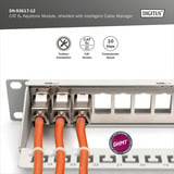 Digitus DN-93617-12, Module de Keystone Argent