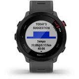 Garmin Forerunner 55, Smartwatch Gris foncé/Noir