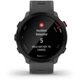 Garmin Forerunner 55, Smartwatch Gris foncé/Noir